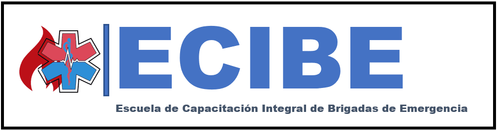 LOGO ECIBE